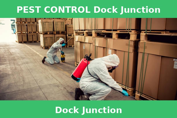 PEST CONTROL Dock Junction